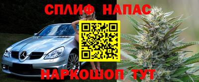 a pvp Дубна