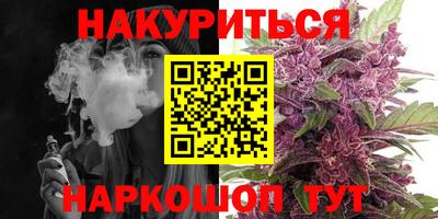 a pvp Дубна