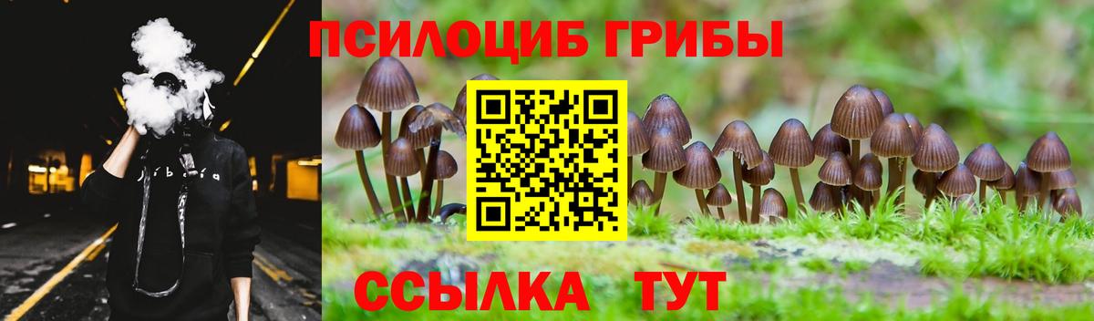 Людиново  Галлюциногенные грибы Magic Shrooms  Псилоцибиновые грибы Psilocybine cubensis  Вход с VPN 